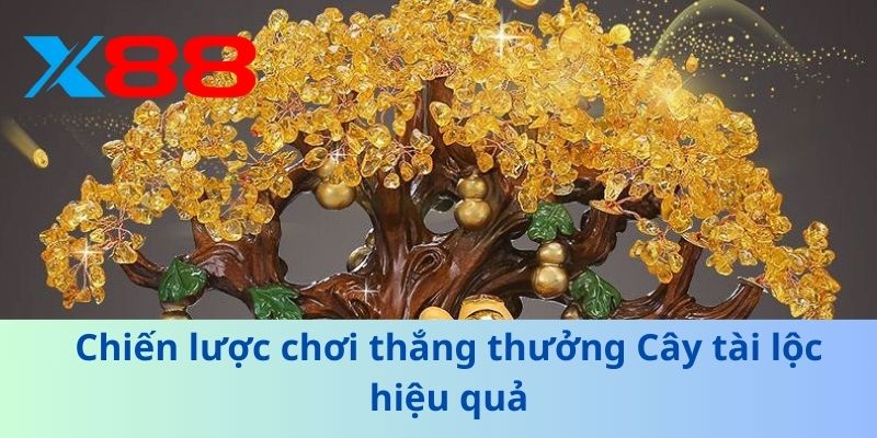 Khám Phá Cây Tài Lộc – Bí Quyết Mang Lại May Mắn 2025 4 Chiến lược chơi thắng thưởng Cây tài lộc hiệu quả